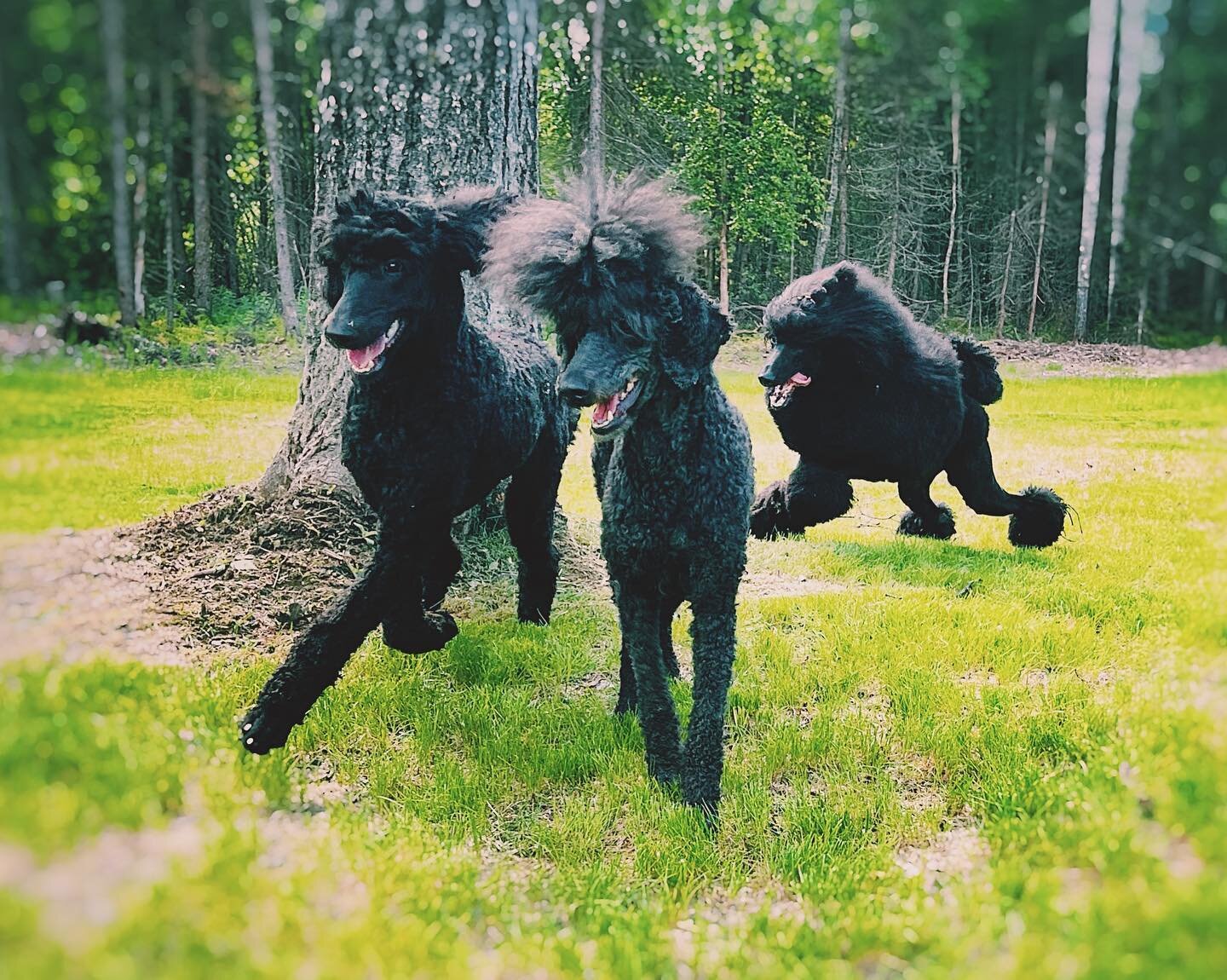 3 generations 🖤🖤🖤